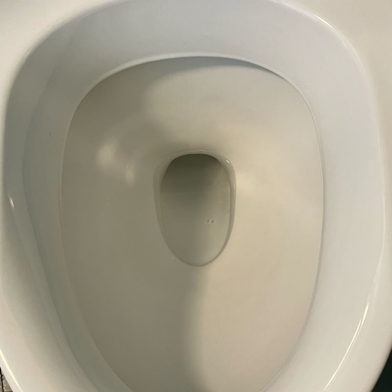 Toilet efter rengøring – rent og hvidt