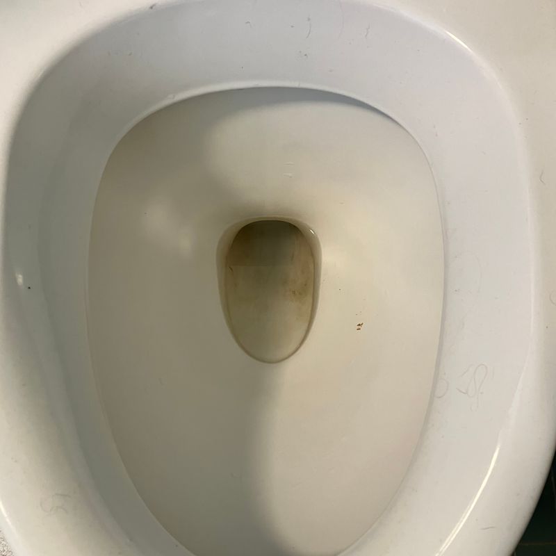 Toilet før rengøring – kalkrand i bunden